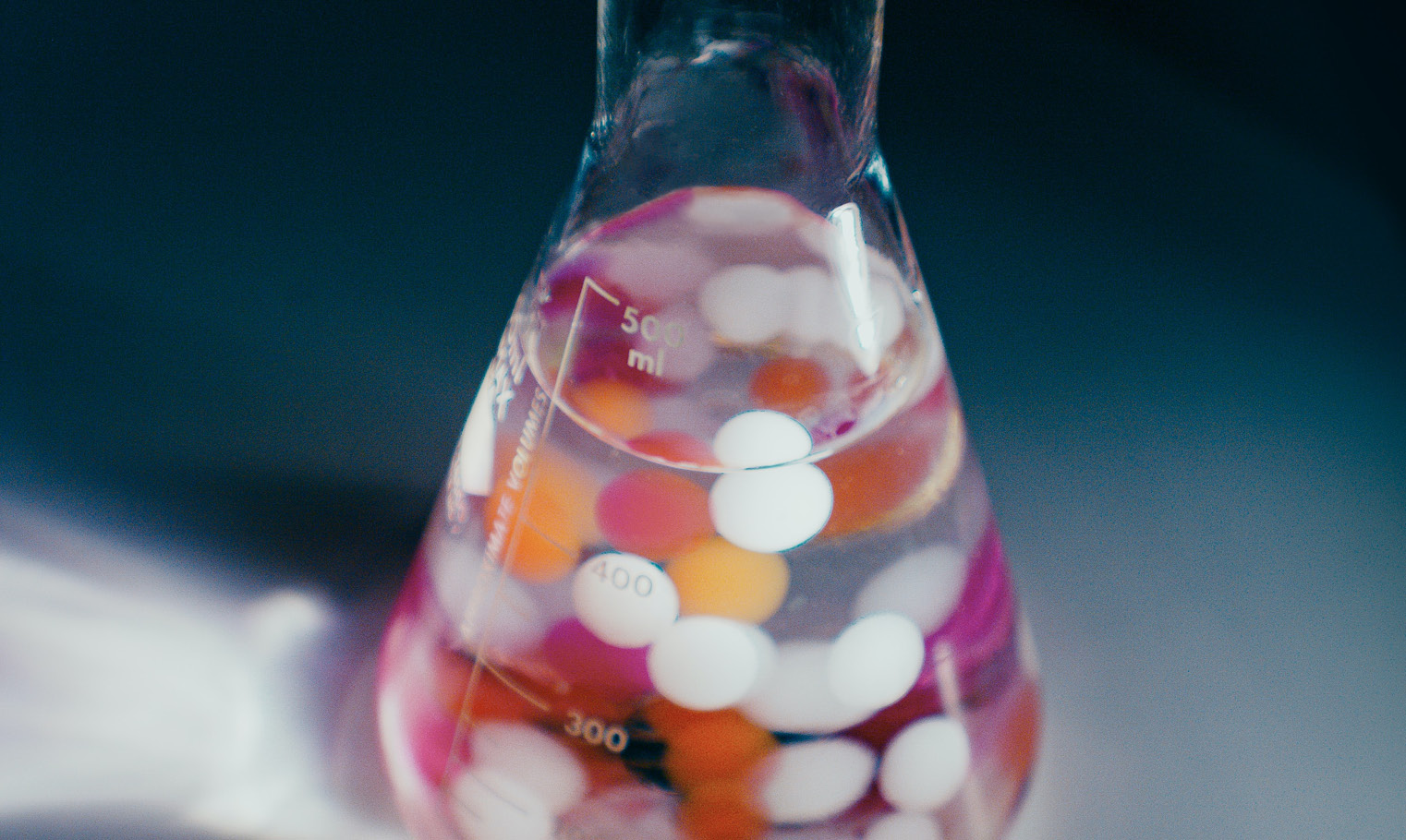 Das Informationsnetzwerk Homöopathie: Wissensvermittlung und Austausch in der alternativen Medizin