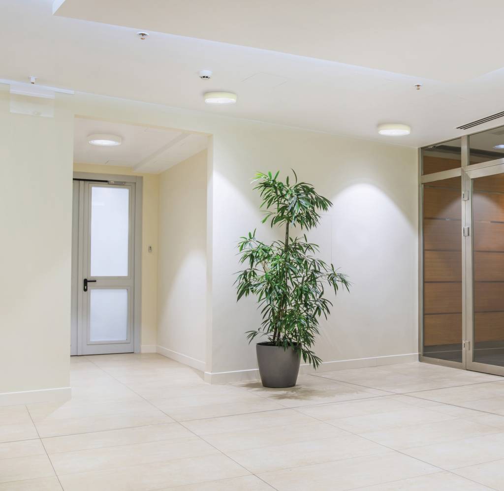 Moderne LED Flächenleuchte für die Decke: Effiziente Beleuchtungslösung